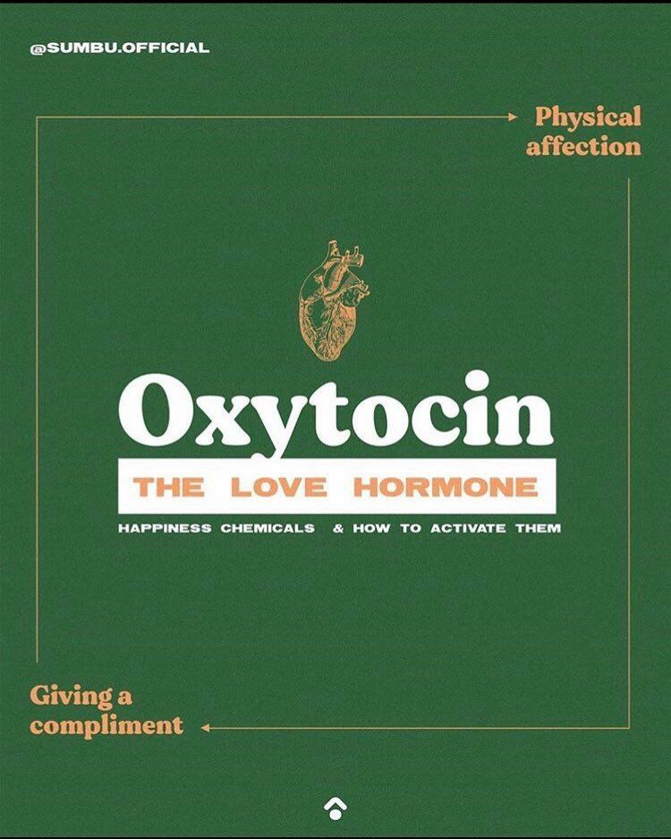 infográfico em inglês sobre oxitocina: o hormônio do amor