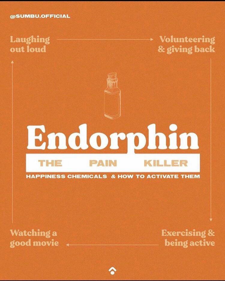 infográfico em inglês sobre endorfina: que acaba com a dor