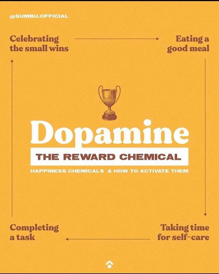 infográfico em inglês sobre dopamina: a substância química da recompensa
