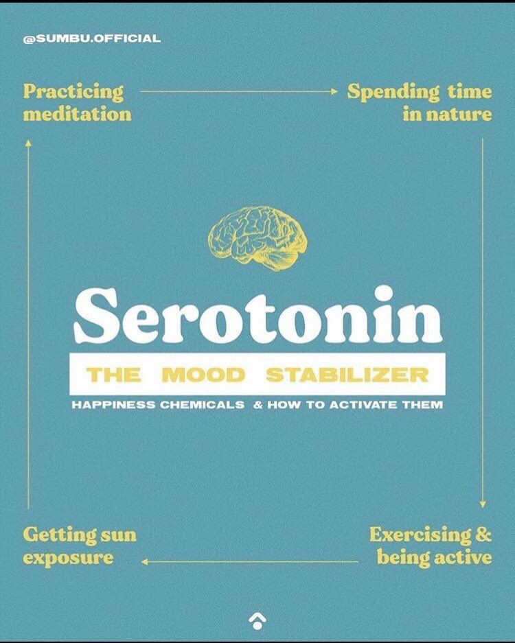 infográfico em inglês sobre serotonina: o estabilizador de humor